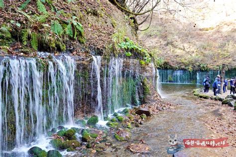 輕井澤 白絲瀑布|東京近郊輕井澤景點 白絲瀑布(白糸の滝)最新交通方式、旅遊攻略。